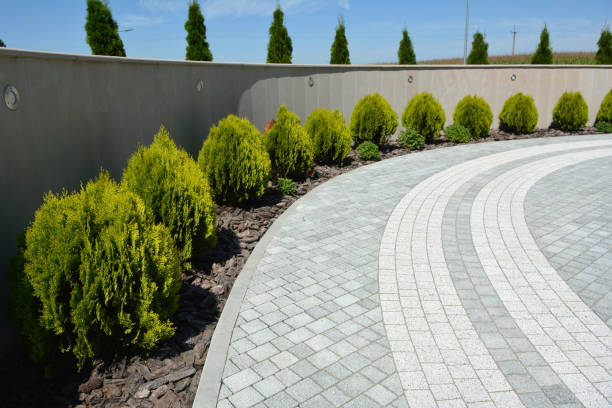 Best Commercial Driveway Pavers  in Savannah, MO